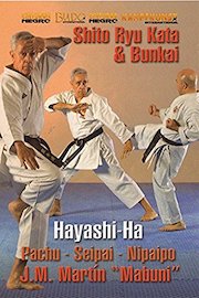 Karate Shito-Ryu Hayashi-Ha