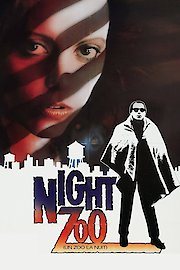 Night Zoo
