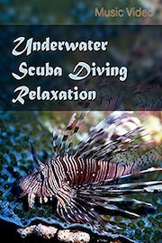 Underwater Scuba Diving Relaxation