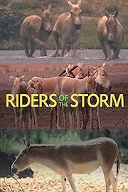 Riders of the Storm