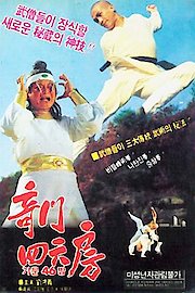 Shaolin Drunk Fighter