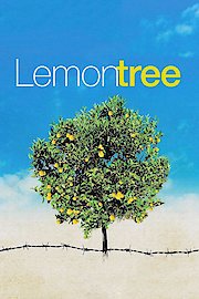 Lemon Tree