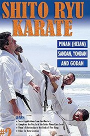 Shito Ryu Karate #2