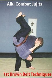 Aiki Combat 1st Brown Belt