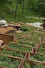 Green Careers: Restoring the Land - Hazardous Waste Management