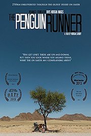 The Penguin Runner