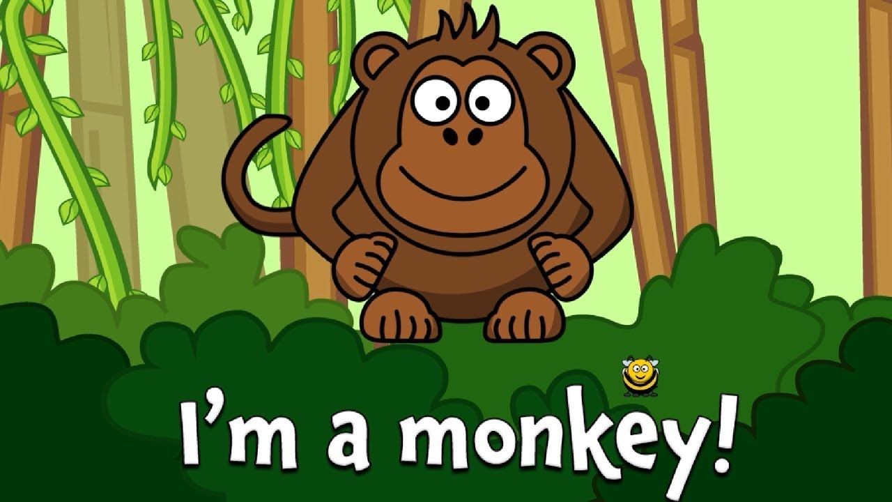 What Animal am I?