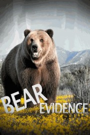 Bear Evidence
