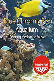 Blue Chromis Fish Aquarium with Relaxing Meditation Music - Relaxing Park