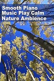 Smooth Piano Music Play Calm Nature Ambience