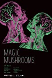 Magic Mushrooms