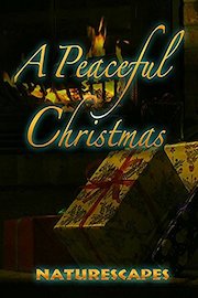 A Peaceful Christmas
