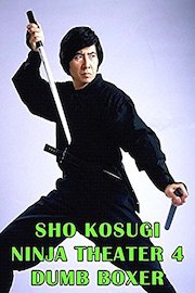 Sho Kosugi Ninja Theater 4 Dumb Boxer