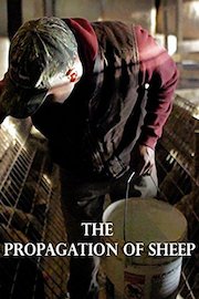 The Propagation of Sheep