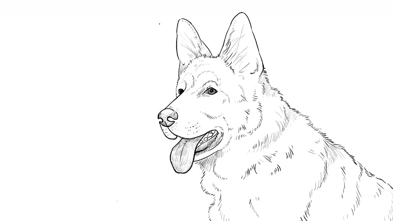 Art Time! Learn Drawing and Coloring with Video Tutorial Lessons German Shepherd