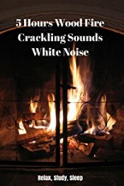 5 Hours Wood Fire Crackling Sounds White Noise - Relax, Study, Sleep