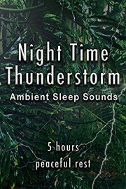 Night Time Thunderstorm