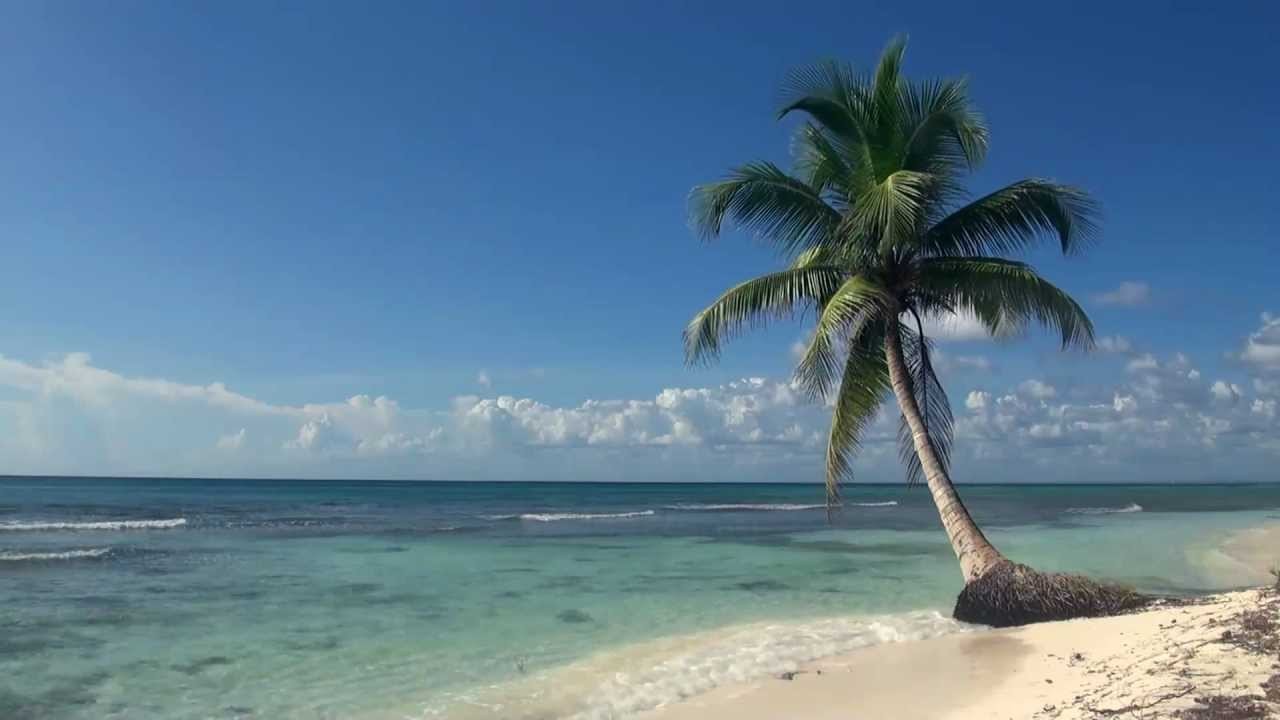 Toes in the Sand Beautiful Ocean Sunset Ambient Beach Waves Soothing Sounds of Nature for Relaxing & Sleeping