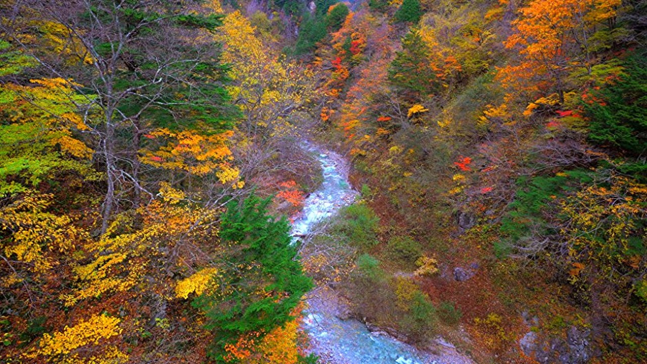Healing Sounds of Nature Autumn River Valley Sleep Sounds and Video Calming Nature Healing Mind