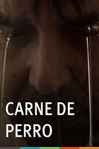Carne de perro