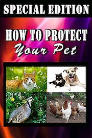 How to Protect your Pet