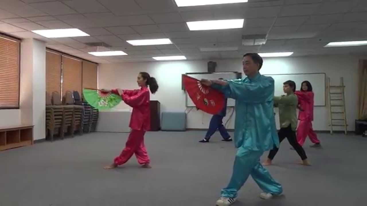Tai Chi Kung Fu Fan II
