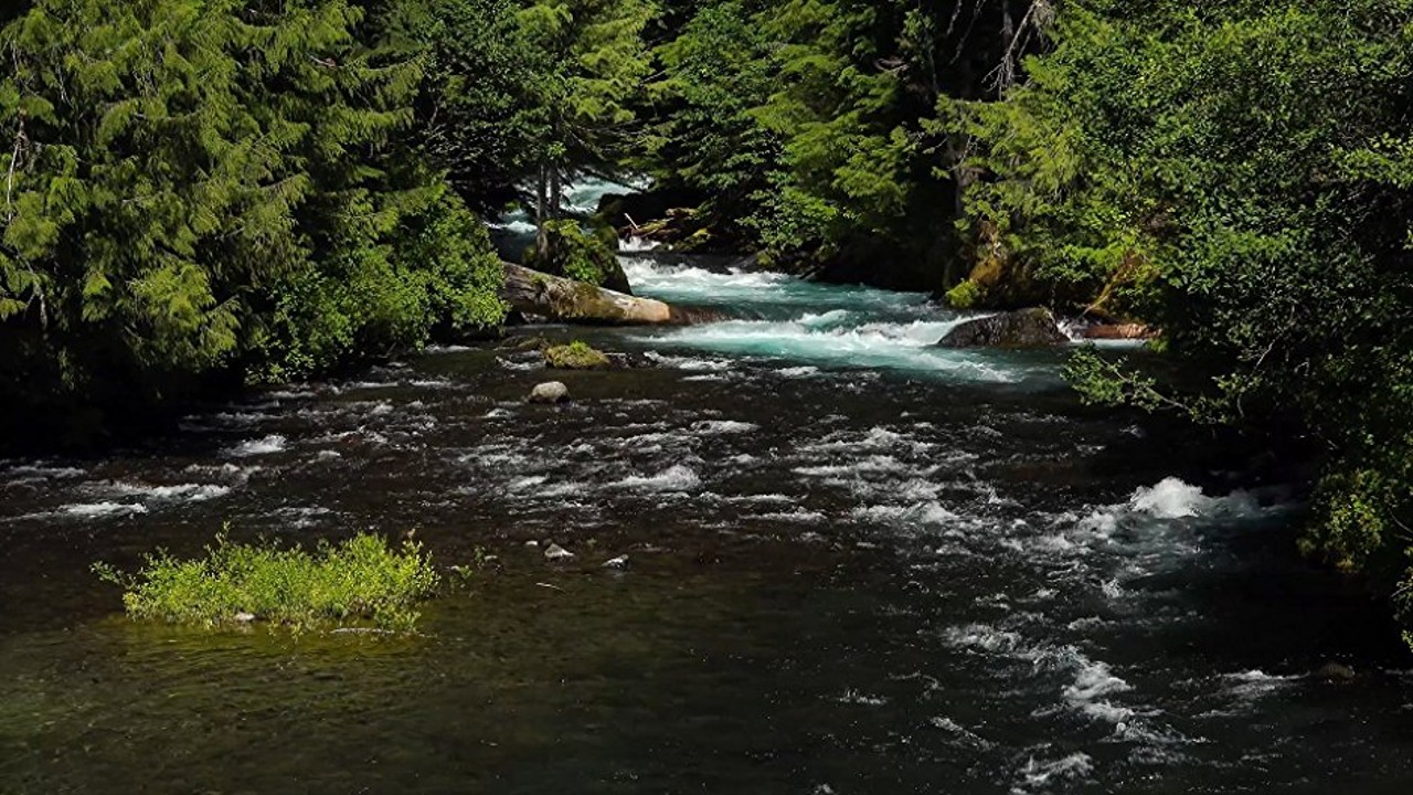 Mountain Stream [Dark Screen 10 hours] Relaxing Forest River with Singing Birds, Ambient Nature Sounds for Sleeping.