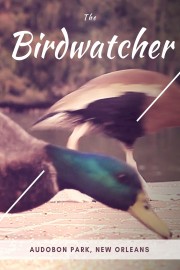 The Bird Watcher: Audubon Park