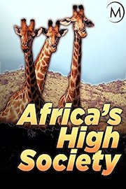 Africa's High Society