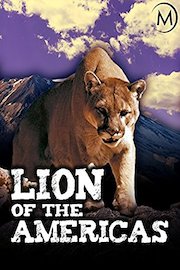 Lion of the Americas
