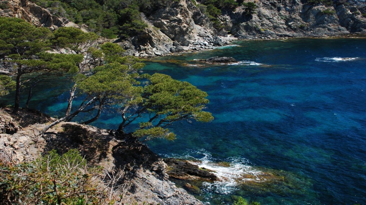 Coastal & Mediterranean Climates