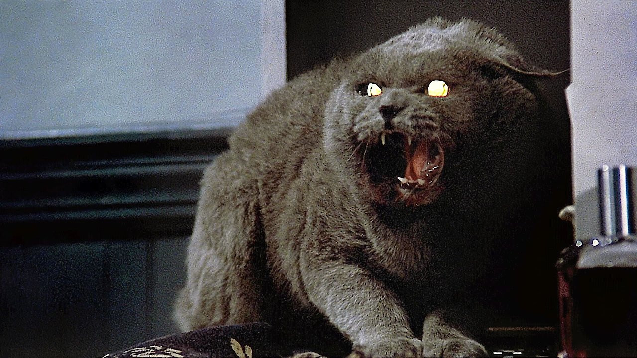 Pet Sematary