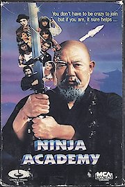 Ninja Academy