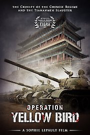 Operation Yellow Bird
