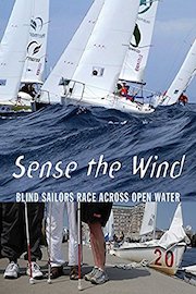 Sense The Wind