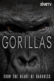 Gorillas: From the Heart of Darkness