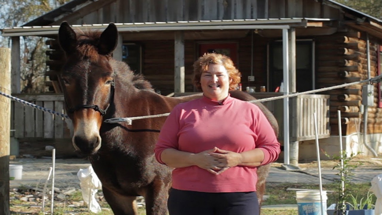 Becky's Homestead: Hoof Trimming For Beginners