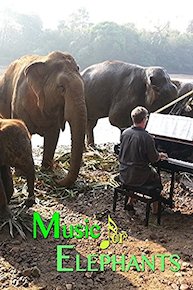 Music For Elephants