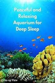 Peaceful and Relaxing Aquarium for Deep Sleep - Close-up view