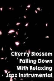 Cherry Blossom Falling Down With Relaxing Jazz Instrumental