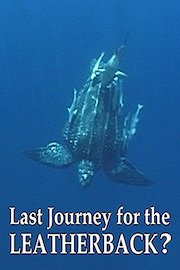 Last Journey for the Leatherback?