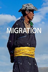 Migration