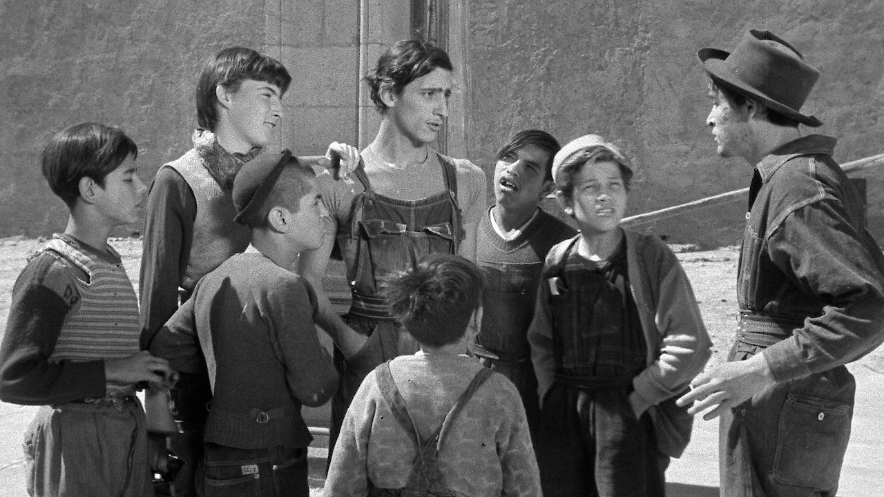 The Young And The Damned