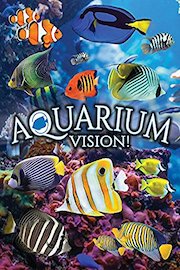 Aquarium Vision