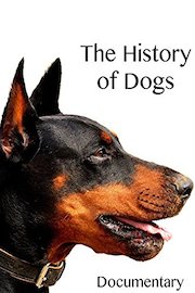 The History of Dogs Documentary