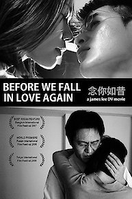 Before We Fall in Love Again