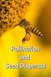 Pollination and Seed Dispersal