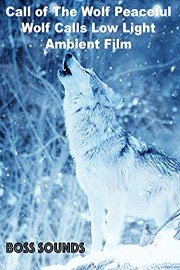 Call Of The Wolf Peaceful Wolf Calls Low Light Ambient Film