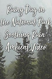 Rainy Day in the National Park Soothing Rain Ambient Video