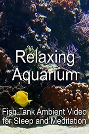 Relaxing Aquarium Fish Tank Ambient Video for Sleep and Meditation